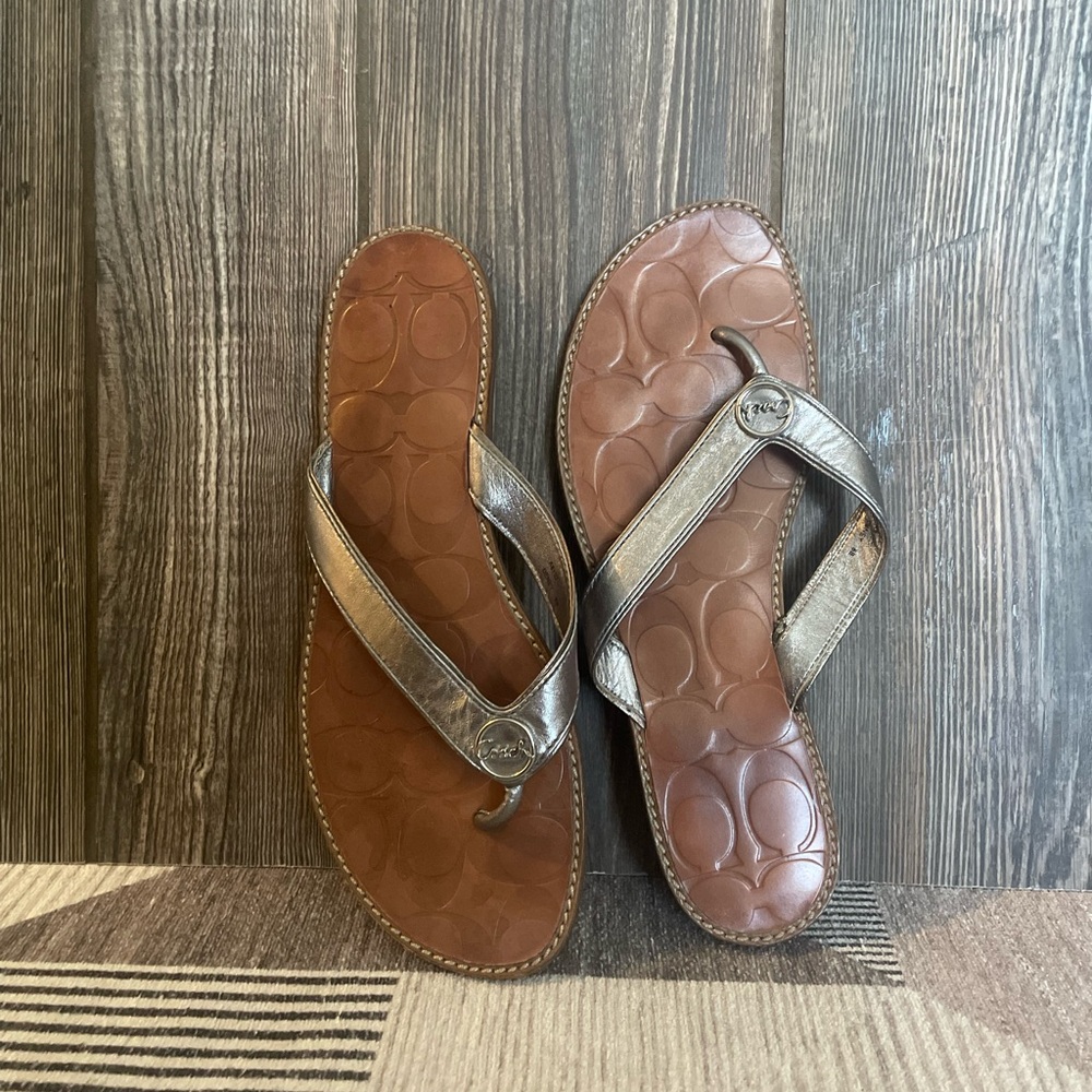 Brown and Silver Coach Sandals